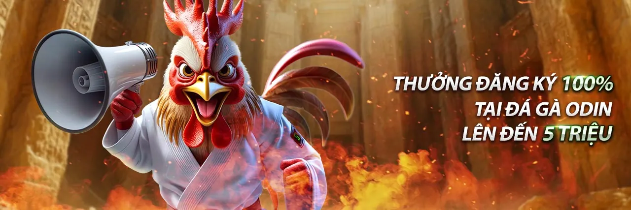 Hình ảnh quản lý vốn hiệu quả trong cá cược